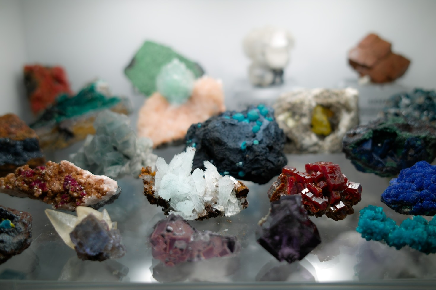 Il museo di mineralogia: un tesoro educativo